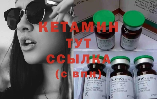 шишки Алексин