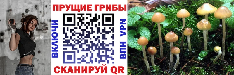 Псилоцибиновые грибы ЛСД Благодарный