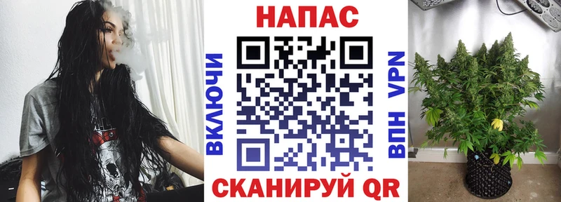 Марихуана ГИДРОПОН площадка как зайти Благодарный